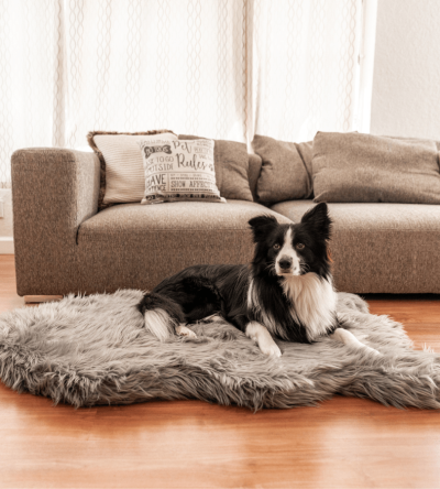 PupRug by Paw.com? Faux Fur Orthopedic Dog Bed - Curve Charcoal Grey