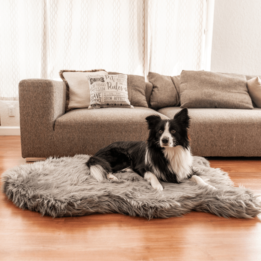 PupRug by Paw.com? Faux Fur Orthopedic Dog Bed - Curve Charcoal Grey