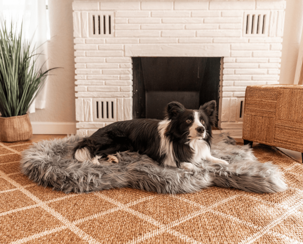 PupRug by Paw.com? Faux Fur Orthopedic Dog Bed - Curve Charcoal Grey - Image 5