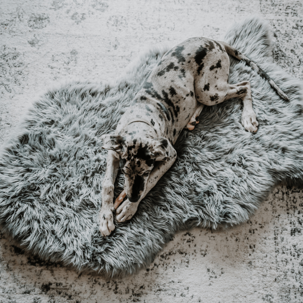PupRug by Paw.com? Faux Fur Orthopedic Dog Bed - Curve Charcoal Grey - Image 4