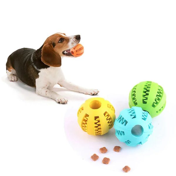 Dog Ball Toys for Small Dogs Interactive Elasticity Puppy Chew Toy Tooth Cleaning - Image 2