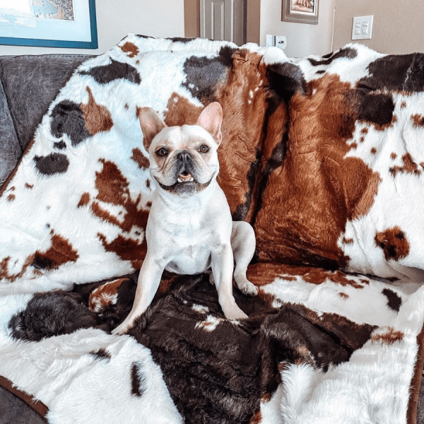 PupProtector? Waterproof Throw Blanket - Brown Faux Cowhide - Image 8