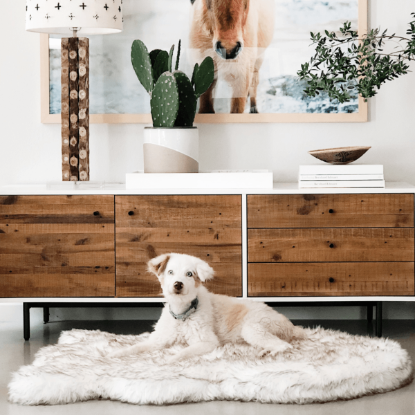 PupRug by Paw.com? Faux Fur Orthopedic Dog Bed - Curve White with Brown Accents - Image 11