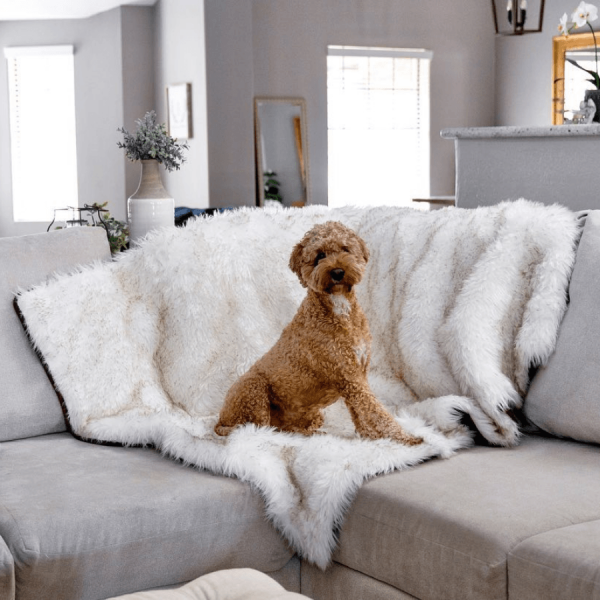 PupProtector? Waterproof Throw Blanket - White with Brown Accents - Image 8