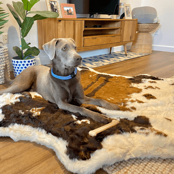 PupRug? Animal Print Memory Foam Dog Bed - Brown Faux Cowhide - Image 4