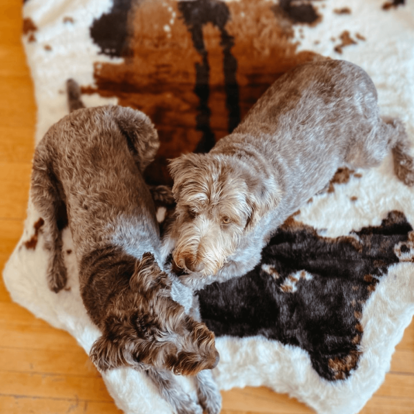 PupRug? Animal Print Memory Foam Dog Bed - Brown Faux Cowhide - Image 8