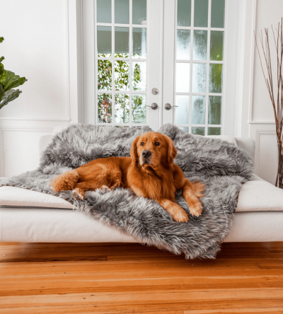 PupProtector? Waterproof Throw Blanket - Charcoal Grey