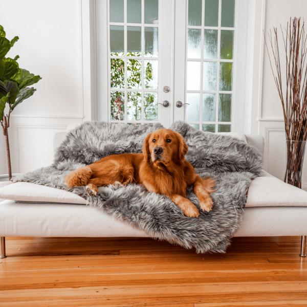 PupProtector? Waterproof Throw Blanket - Charcoal Grey