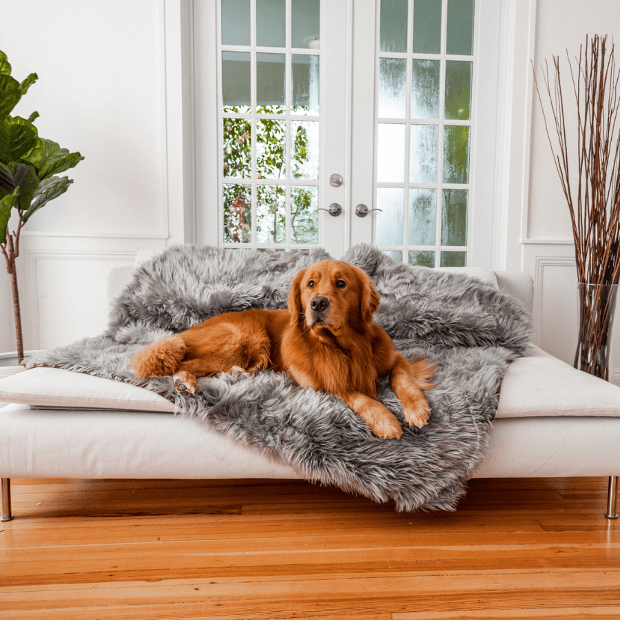 PupProtector? Waterproof Throw Blanket - Charcoal Grey