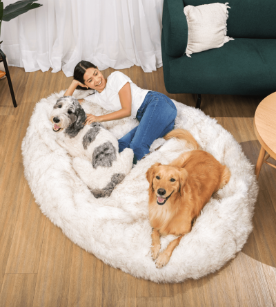 PupCloud? Human-Size Faux Fur Memory Foam Dog Bed - White with Brown Accents