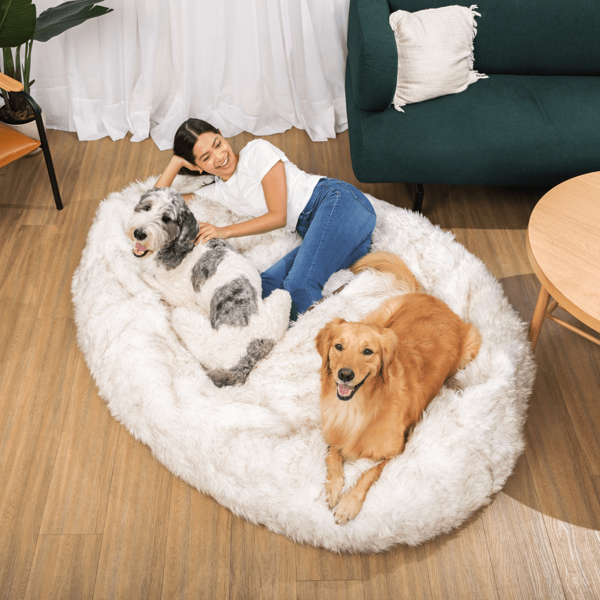 PupCloud? Human-Size Faux Fur Memory Foam Dog Bed - White with Brown Accents