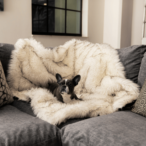 PupProtector? Waterproof Throw Blanket - White with Brown Accents - Image 5