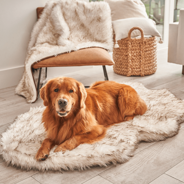 PupRug by Paw.com? Faux Fur Orthopedic Dog Bed - Curve White with Brown Accents - Image 9