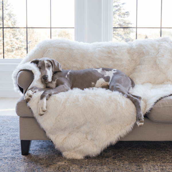 PupProtector? Waterproof Throw Blanket - White with Brown Accents - Image 3