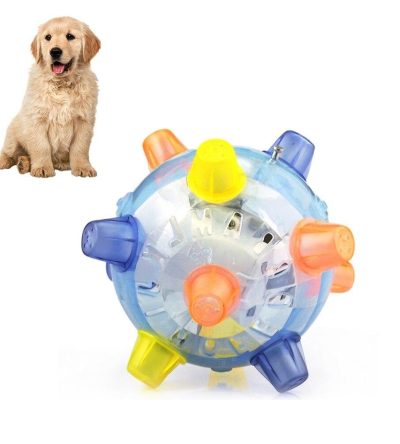 Pet LED Vibrating Activation Ball