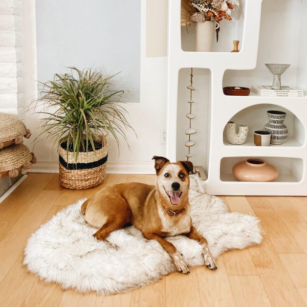 PupRug by Paw.com? Faux Fur Orthopedic Dog Bed - Curve White with Brown Accents - Image 2