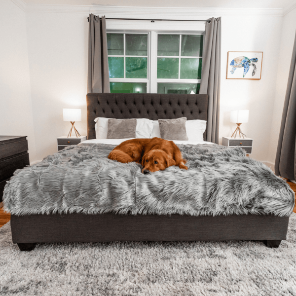 PupProtector? Waterproof Throw Blanket - Charcoal Grey - Image 6