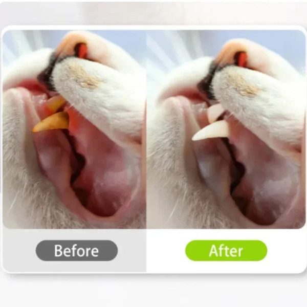 Cat Toys Cleaning Teeth Silvervine Chew Stick Pet Snacks Sticks Natural Stuff with Catnip for Kitten Catnip Teasing Chew Toys - Image 4