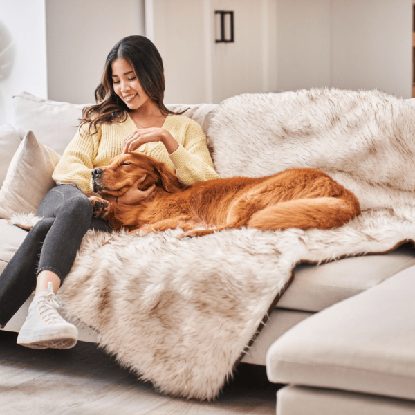 PupProtector? Waterproof Throw Blanket - White with Brown Accents - Image 2
