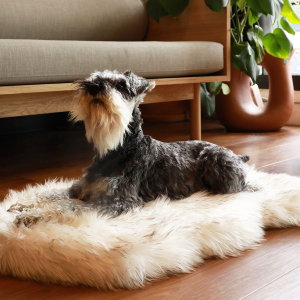 PupRug by Paw.com? Faux Fur Orthopedic Dog Bed - Curve White with Brown Accents - Image 8