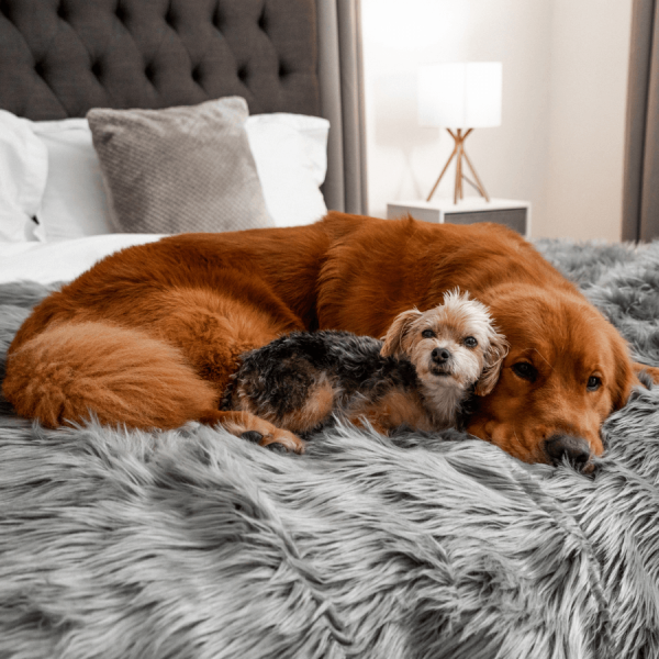 PupProtector? Waterproof Throw Blanket - Charcoal Grey - Image 7