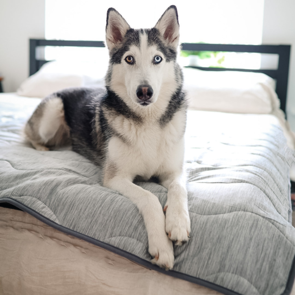 PupChill? Cooling Waterproof Blanket - Arctic Grey - Image 3