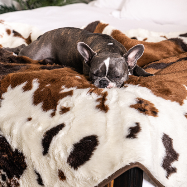 PupProtector? Waterproof Throw Blanket - Brown Faux Cowhide - Image 10