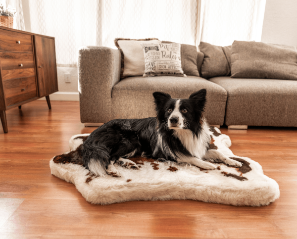 PupRug? Animal Print Memory Foam Dog Bed - Brown Faux Cowhide - Image 14