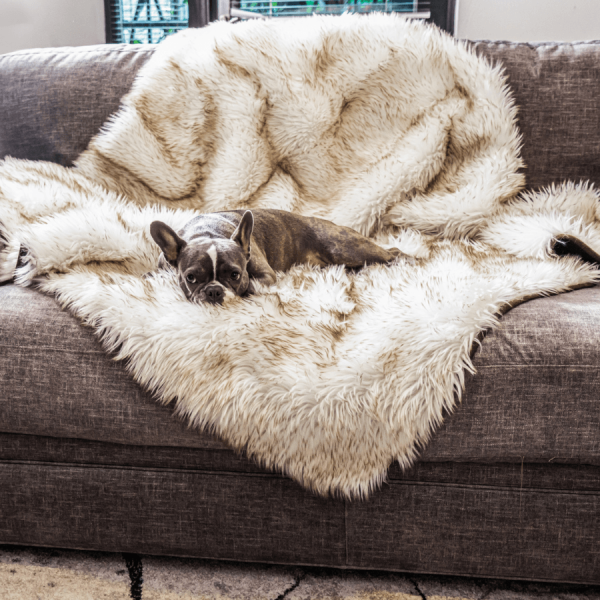 PupProtector? Waterproof Throw Blanket - White with Brown Accents - Image 7