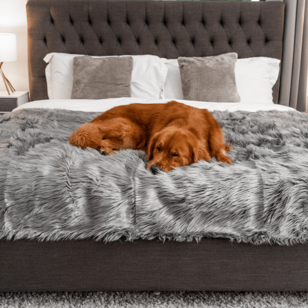 PupProtector? Waterproof Throw Blanket - Charcoal Grey - Image 9