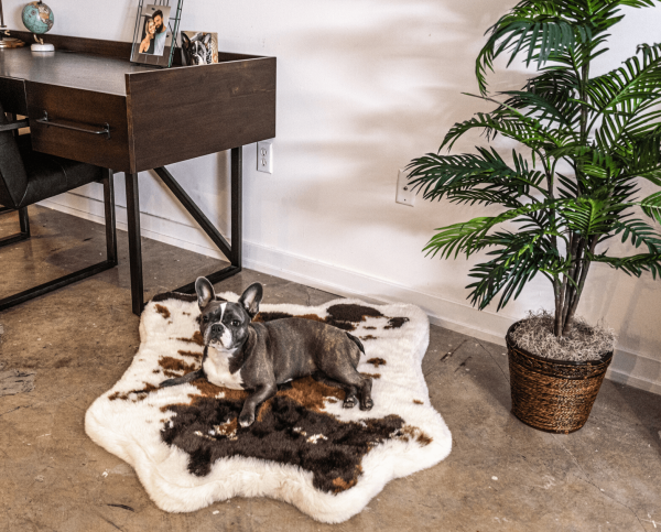 PupRug? Animal Print Memory Foam Dog Bed - Brown Faux Cowhide - Image 9