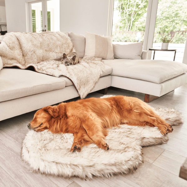 PupRug by Paw.com? Faux Fur Orthopedic Dog Bed - Curve White with Brown Accents - Image 13