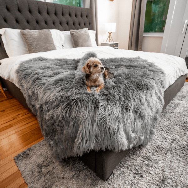 PupProtector? Waterproof Throw Blanket - Charcoal Grey - Image 2