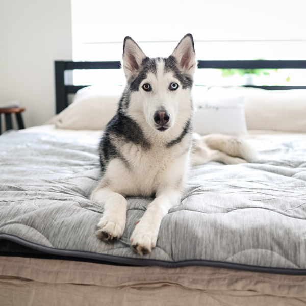 PupChill? Cooling Waterproof Blanket - Arctic Grey - Image 9