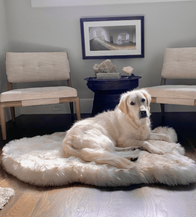 PupRug by Paw.com? Faux Fur Orthopedic Dog Bed - Curve White with Brown Accents