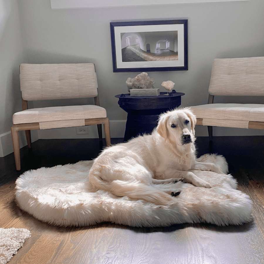 PupRug by Paw.com? Faux Fur Orthopedic Dog Bed - Curve White with Brown Accents