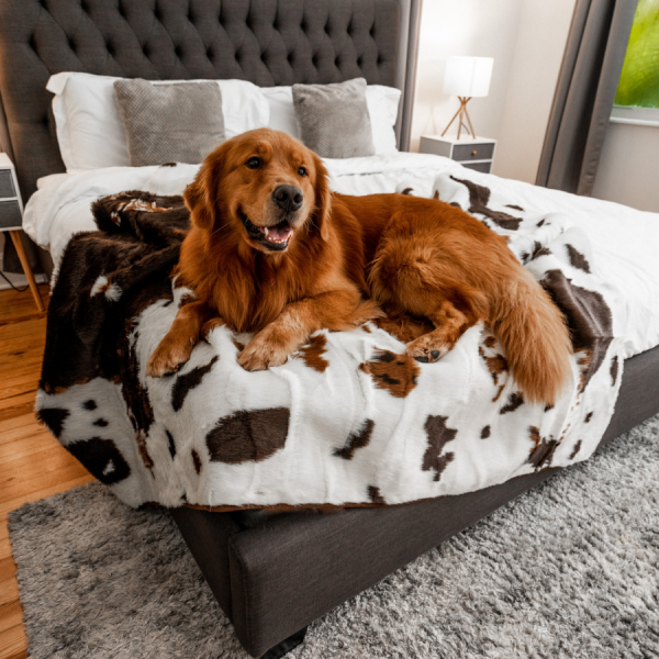 PupProtector? Waterproof Throw Blanket - Brown Faux Cowhide - Image 11