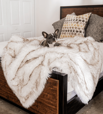PupProtector? Waterproof Throw Blanket - White with Brown Accents