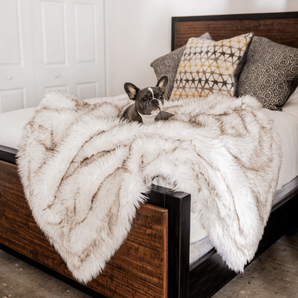 PupProtector? Waterproof Throw Blanket - White with Brown Accents
