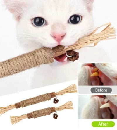 Cat Toys Cleaning Teeth Silvervine Chew Stick Pet Snacks Sticks Natural Stuff with Catnip for Kitten Catnip Teasing Chew Toys