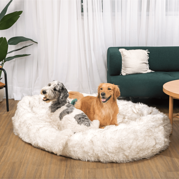 PupCloud? Human-Size Faux Fur Memory Foam Dog Bed - White with Brown Accents - Image 7