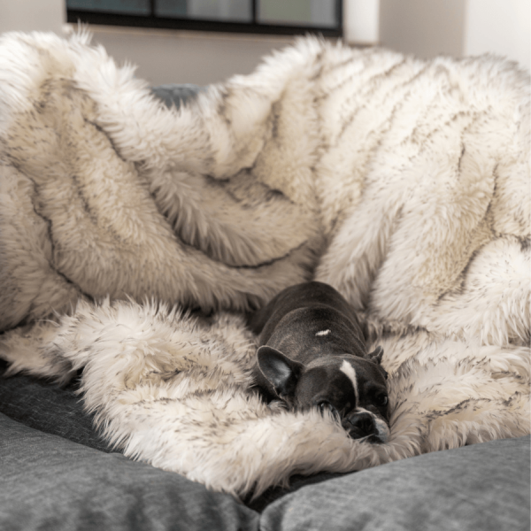 PupProtector? Waterproof Throw Blanket - White with Brown Accents - Image 9