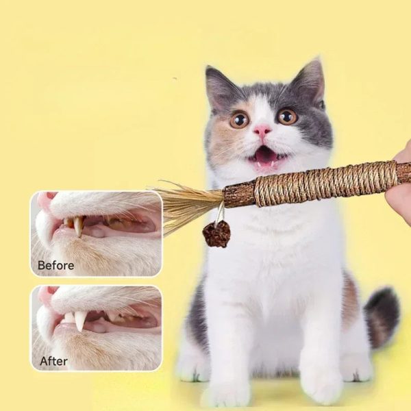 Cat Toys Cleaning Teeth Silvervine Chew Stick Pet Snacks Sticks Natural Stuff with Catnip for Kitten Catnip Teasing Chew Toys - Image 2