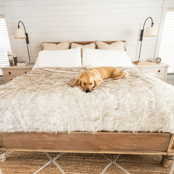 PupProtector? Waterproof Throw Blanket - White with Brown Accents - Image 10