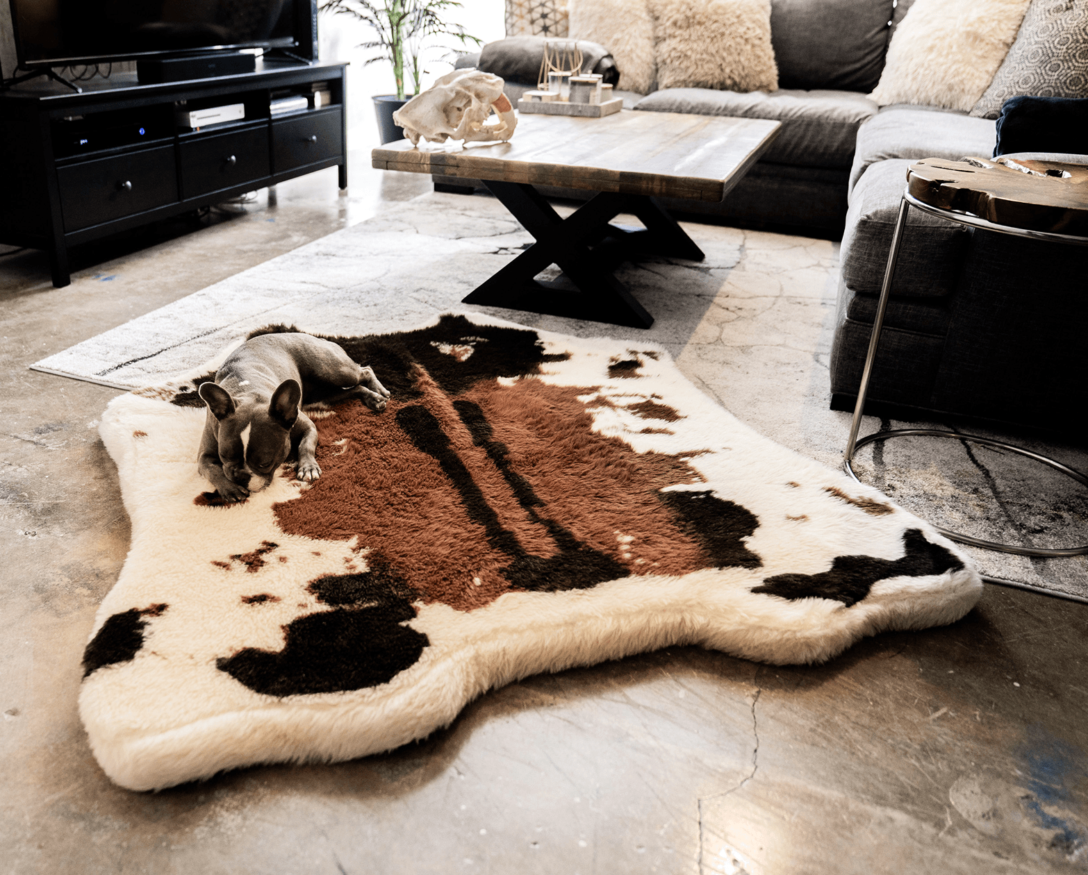PupRug? Animal Print Memory Foam Dog Bed - Brown Faux Cowhide