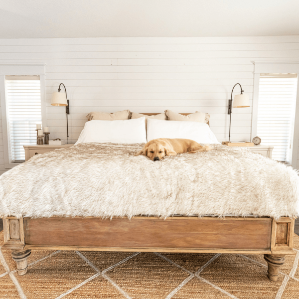 PupProtector? Waterproof Throw Blanket - White with Brown Accents - Image 13
