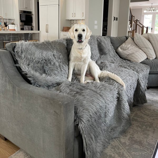 PupProtector? Waterproof Throw Blanket - Charcoal Grey - Image 8