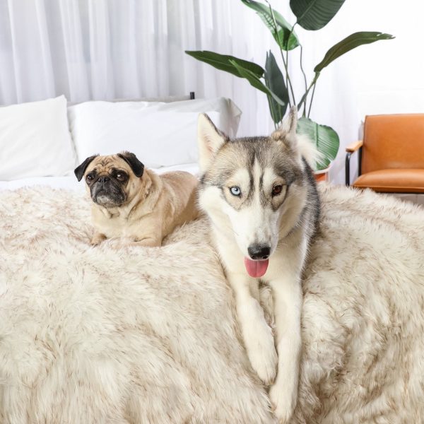 PupProtector? Waterproof Throw Blanket - White with Brown Accents - Image 4