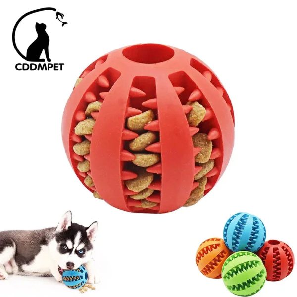 Dog Ball Toys for Small Dogs Interactive Elasticity Puppy Chew Toy Tooth Cleaning