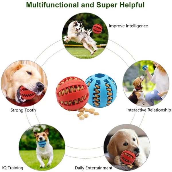 Dog Ball Toys for Small Dogs Interactive Elasticity Puppy Chew Toy Tooth Cleaning - Image 4